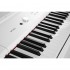 Цифровое пианино Artesia Performer PA88W (White)